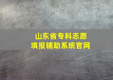 山东省专科志愿填报辅助系统官网