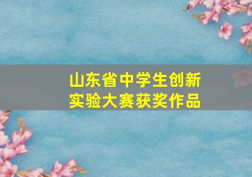 山东省中学生创新实验大赛获奖作品