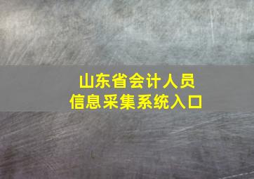 山东省会计人员信息采集系统入口