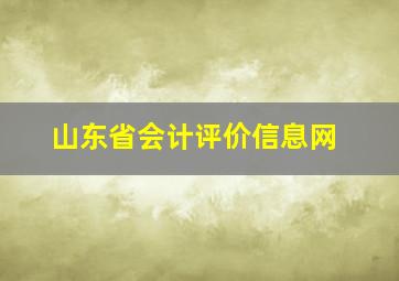 山东省会计评价信息网