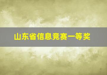 山东省信息竞赛一等奖