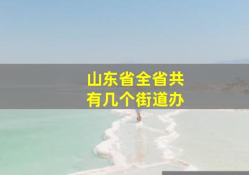 山东省全省共有几个街道办