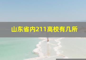 山东省内211高校有几所