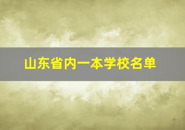 山东省内一本学校名单