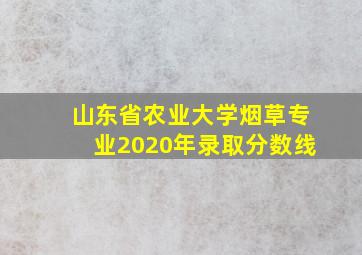 山东省农业大学烟草专业2020年录取分数线