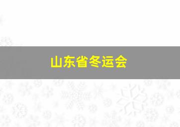 山东省冬运会