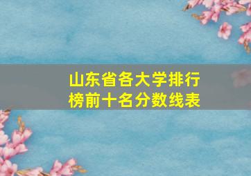 山东省各大学排行榜前十名分数线表