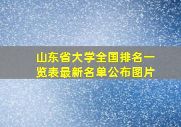 山东省大学全国排名一览表最新名单公布图片