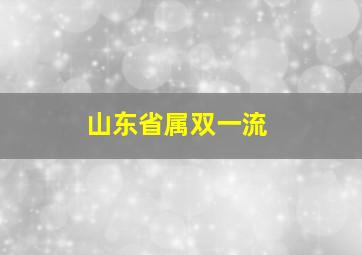 山东省属双一流