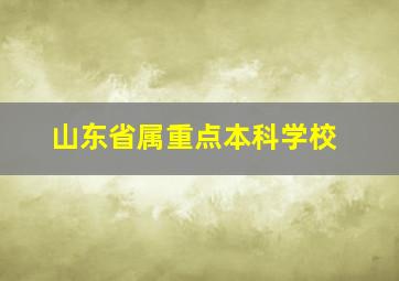 山东省属重点本科学校