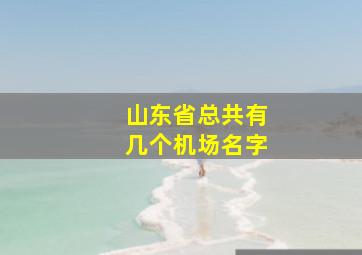 山东省总共有几个机场名字