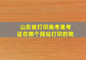 山东省打印高考准考证在哪个网站打印的呢