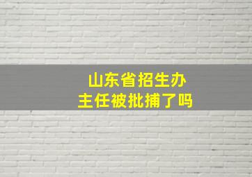 山东省招生办主任被批捕了吗