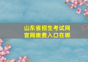 山东省招生考试网官网缴费入口在哪