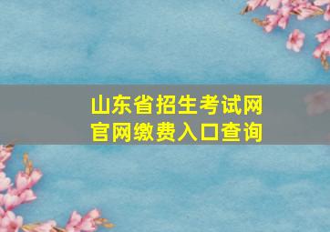 山东省招生考试网官网缴费入口查询