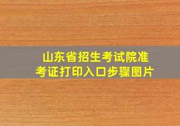 山东省招生考试院准考证打印入口步骤图片