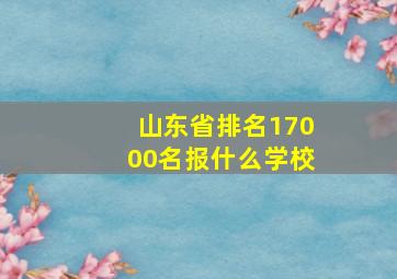 山东省排名17000名报什么学校