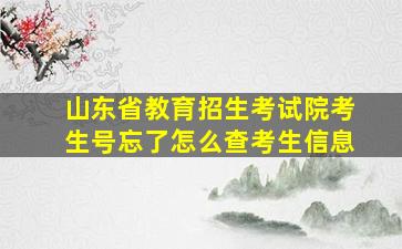 山东省教育招生考试院考生号忘了怎么查考生信息