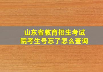 山东省教育招生考试院考生号忘了怎么查询