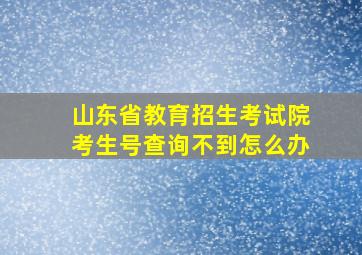 山东省教育招生考试院考生号查询不到怎么办