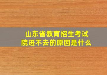 山东省教育招生考试院进不去的原因是什么