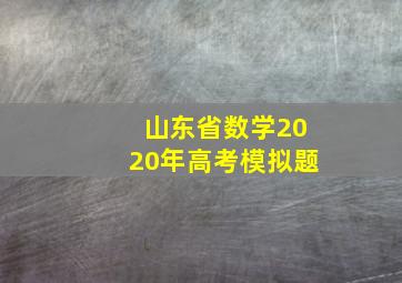 山东省数学2020年高考模拟题