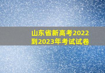 山东省新高考2022到2023年考试试卷