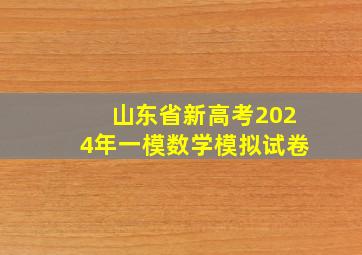 山东省新高考2024年一模数学模拟试卷