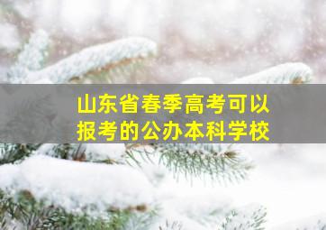 山东省春季高考可以报考的公办本科学校