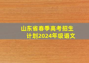 山东省春季高考招生计划2024年级语文