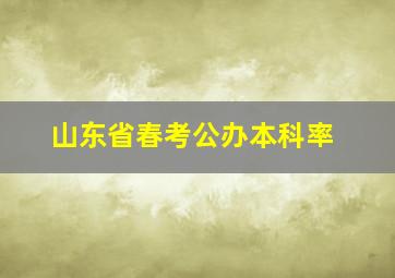 山东省春考公办本科率