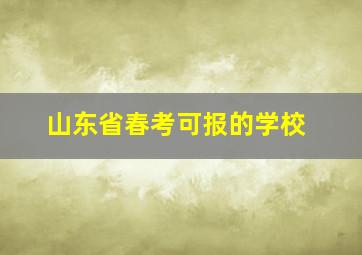 山东省春考可报的学校