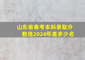 山东省春考本科录取分数线2024年是多少名