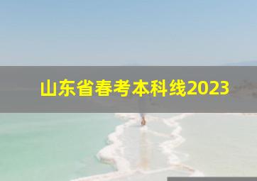 山东省春考本科线2023