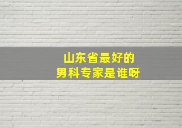 山东省最好的男科专家是谁呀