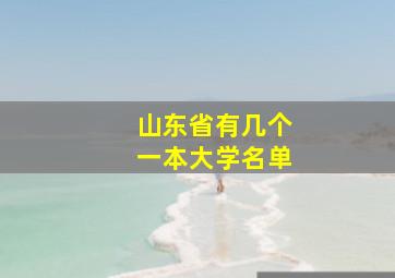 山东省有几个一本大学名单