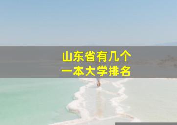 山东省有几个一本大学排名