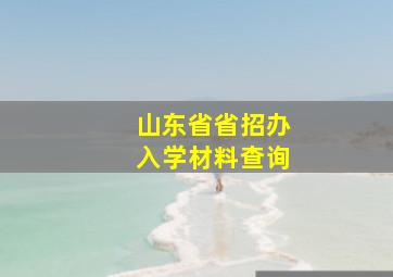 山东省省招办入学材料查询