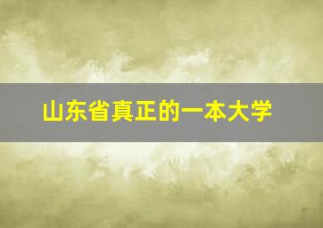 山东省真正的一本大学