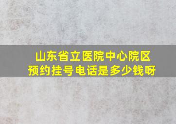 山东省立医院中心院区预约挂号电话是多少钱呀