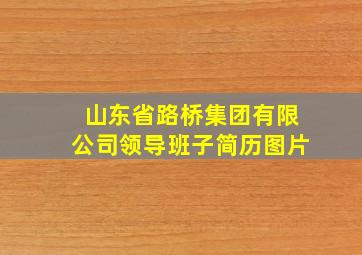 山东省路桥集团有限公司领导班子简历图片