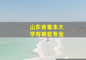 山东省重本大学有哪些专业