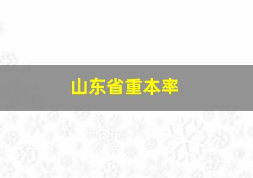 山东省重本率