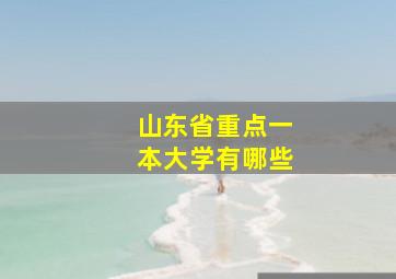 山东省重点一本大学有哪些