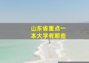 山东省重点一本大学有那些