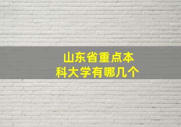 山东省重点本科大学有哪几个