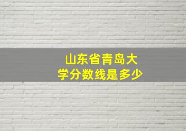 山东省青岛大学分数线是多少