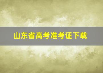 山东省高考准考证下载