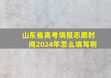 山东省高考填报志愿时间2024年怎么填写啊