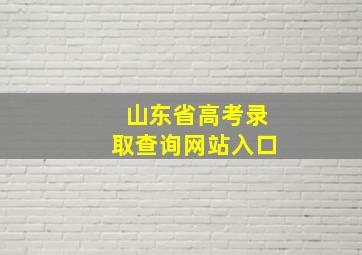 山东省高考录取查询网站入口